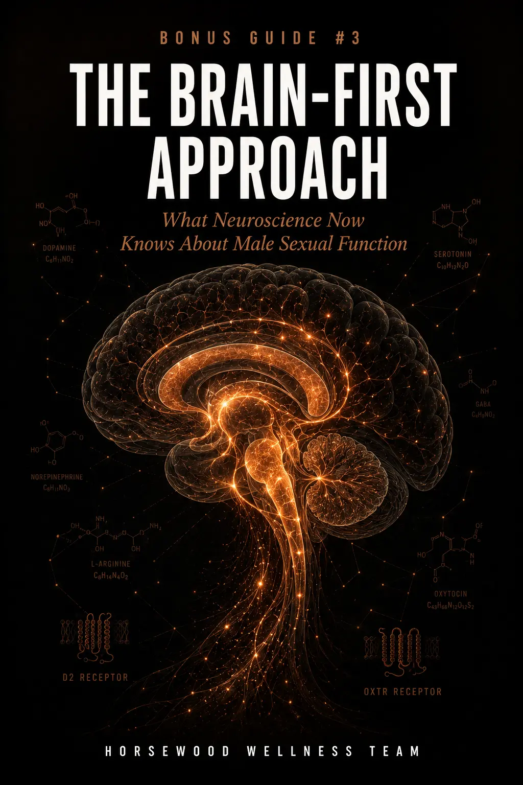 The Brain-First Approach — bonus guide cover